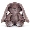 Big Hugs - Byron Bunny - Rourke & Henry Kids Boutique