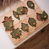 Wooden Montessori Leaf Puzzle