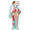 Learn and Explore Puzzle - The Human Body - Rourke & Henry Kids Boutique